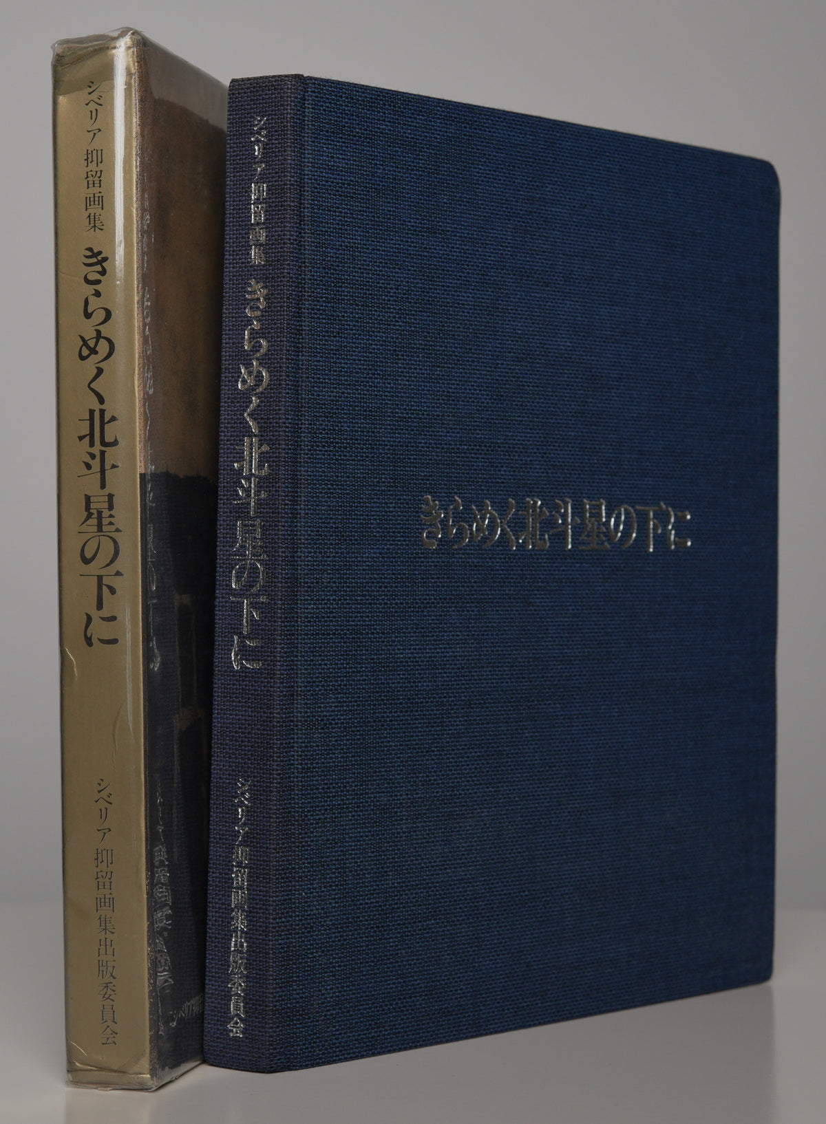 Under the Twinkling Great Bear (1989): the book in blue cloth, shown with its spine