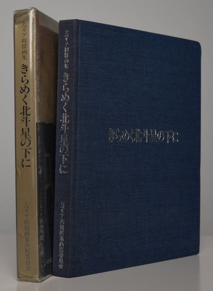 Under the Twinkling Great Bear (1989): the book in blue cloth, shown with its spine
