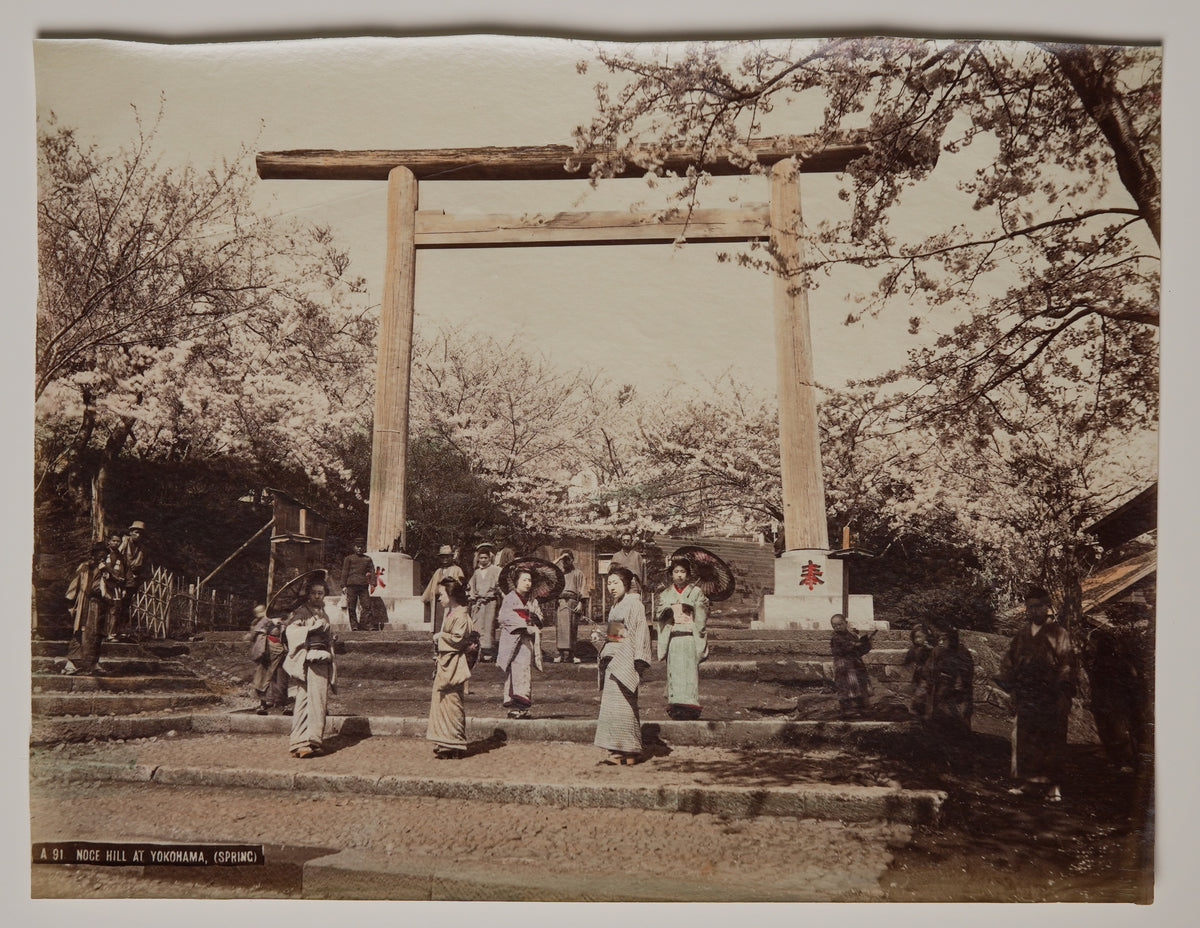 Noge Hill, Yokohama, hand-colored albumen print: the great torii in cherry-blossom season
