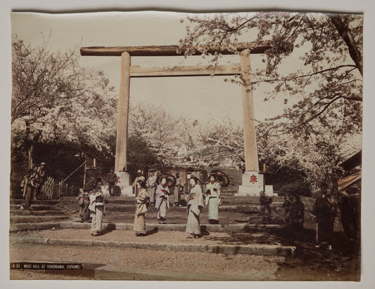 Noge Hill, Yokohama, hand-colored albumen print: the great torii in cherry-blossom season