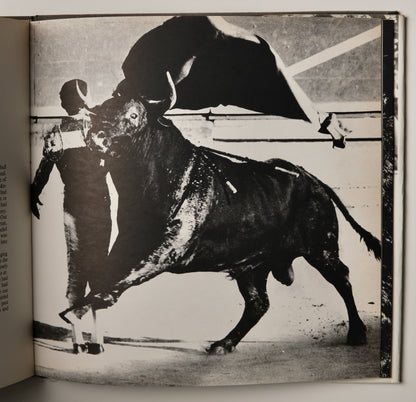 Bulls of Iberia: Life and Death of the Fighting Bull